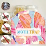 Moth Catcher Insect Trap Sticker - Image 4
