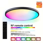 24W 30cm RGBCW Full Color Smart WiFi Tuya Ceiling Light with Remote Control - Image 2