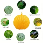 Outdoor Fruit Fly Mosquito Citrus Trap Sticky Ball - Image 2