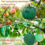 Outdoor Fruit Fly Mosquito Citrus Trap Sticky Ball - Image 5
