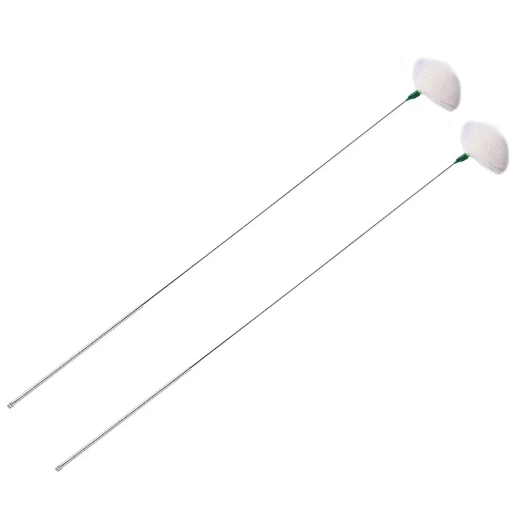 TBD06050437.webp 2pcs Medium Heads Silver Needle Goose Quill Stick Ear Picking Tool - Image 1