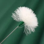 2pcs Medium Heads Silver Needle Goose Quill Stick Ear Picking Tool - Image 6