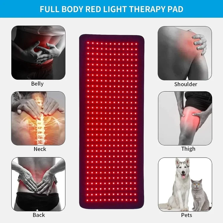 TBD06050955_B7.webp 360 LED Beads Red Light Physical Therapy Waist Pad Infrared Fitness Light Therapy Pad - Image 8
