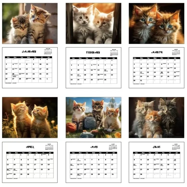 TBD06050988_3.webp 2025 Year 12 Month Kitty Cats English Calendar Cute Wall Calendar - Image 4