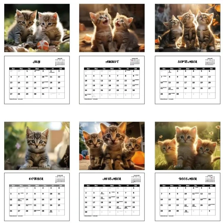 TBD06050988_4.webp 2025 Year 12 Month Kitty Cats English Calendar Cute Wall Calendar - Image 5