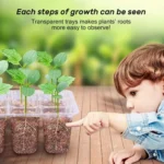 12-Hole Heightened Succulent Vegetable Seedling Pot With Lid - Image 6