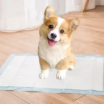 Pet Training Pads Thickened Water-Absorbent Dog Nappy Pad Diaper - Image 2