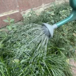 Agricultural Plastic Watering Sprinkler Nozzle Small Spraying Nursery Gardening Tools - Image 6