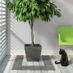 12pcs / Box Anti-Cats Barbed Spike Net Mat Sofas Gate Garden Cats Repellent Tool - Image 10