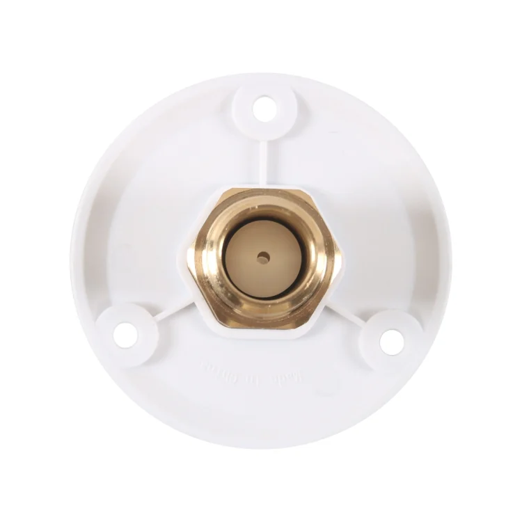 TBD0605274201A_5.webp Brass Water Inlet Check Valve For Yacht RV With Adapter - Image 6