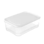 Refrigerator Storage Box Large Capacity Transparent Fresh Food Organiser
