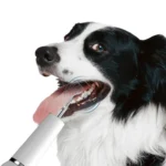 Pet Ultrasonic Teeth Cleaner Dog Electric Teeth Cleaning Tool Home Dentistry Tartar Remover - Image 4