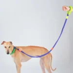 Explosion-Proof  Two-Stage Dog Leash With Foam Handle For Medium And Large Dogs - Image 5