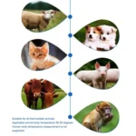 ELOFS EF-07 Pet Dog Cat Ear Digital Thermometer Accurate Infrared Measuring Animal Thermometer - Image 12