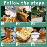 12-In-1 Beekeeping Starter Set Honey Bee Hive Tools - Image 8