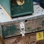 Beehive Buckle Connector Bee Box Anti-theft Fastener Beekeeping Tools - Image 6