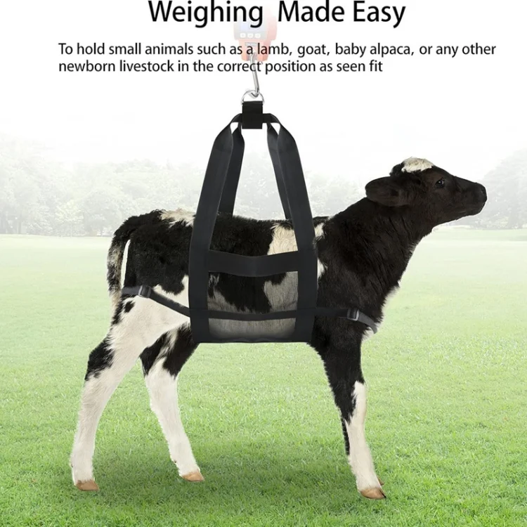 TBD06055785_B5.webp Adjustable Calf And Lamb Weigh Bag Suspended Casualty Reduction Strap - Image 6