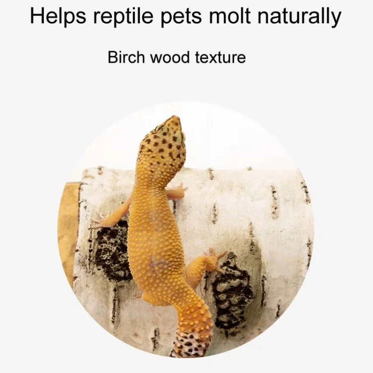 TBD06055831_B3.webp Aquarium Birch Shape Hiding House Reptiles Lizards Aquascape - Image 4