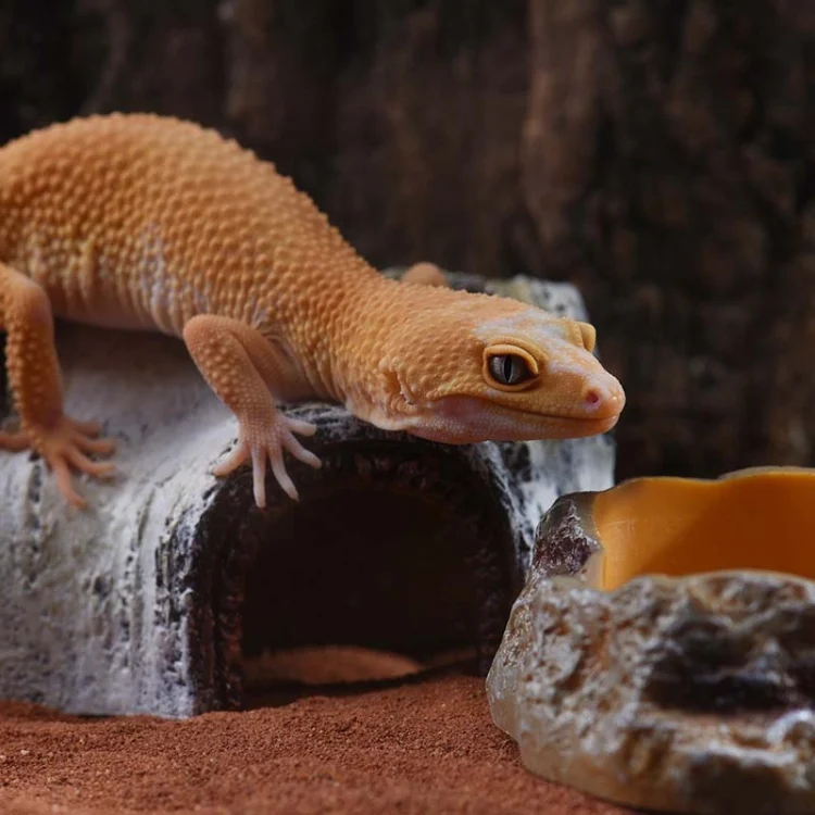 TBD06055831_B5.webp Aquarium Birch Shape Hiding House Reptiles Lizards Aquascape - Image 6