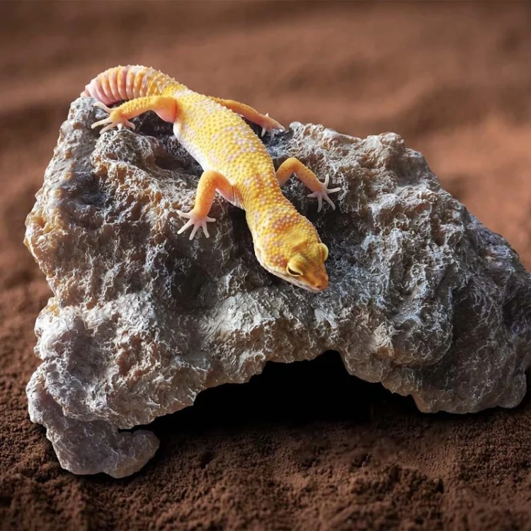 TBD06055834_B5.webp Reptile Simulation Rocks Hideaway House Turtle Sunbed - Image 6