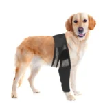 Dog Leg Fracture Protection Injury Support Belt - Image 2