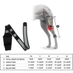 Dog Leg Fracture Protection Injury Support Belt - Image 3