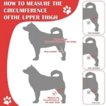 Dog Leg Fracture Protection Injury Support Belt - Image 4