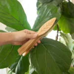 Portable Handheld Leaf Cleaning Tongs For Plants Cleaning Brush Leaf Cleaner - Image 5