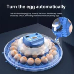 Automatic Incubator Supports 12V And 220V Power Supply, EU Plug - Image 4