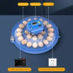 Automatic Incubator Supports 12V And 220V Power Supply, EU Plug - Image 5
