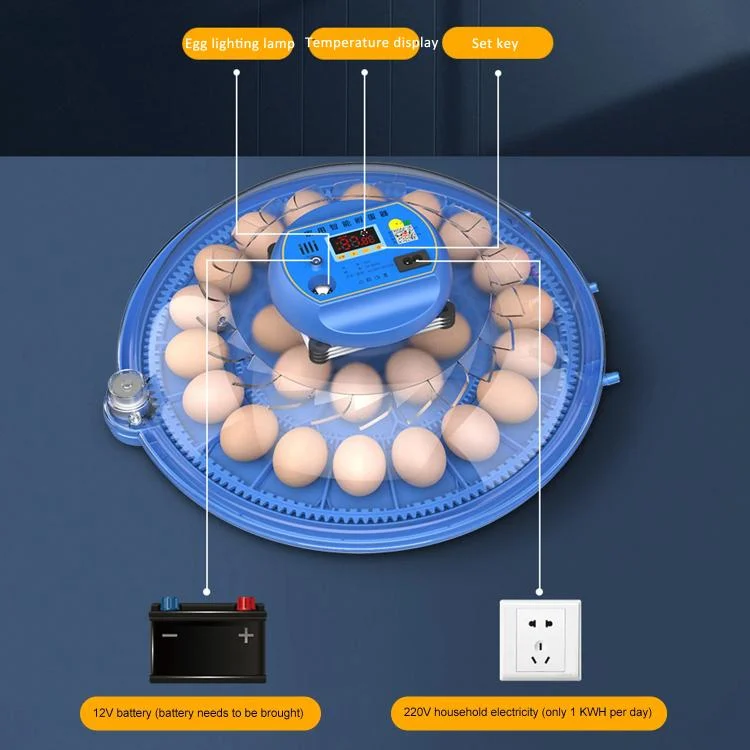 TBD06056895_B4.webp Automatic Incubator Supports 12V And 220V Power Supply, EU Plug - Image 5
