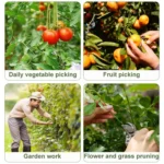 4pcs /Pack Melon and Fruit Picking Small Guillotine Grape Pinching Thumb Knife Vegetable Picker - Image 5