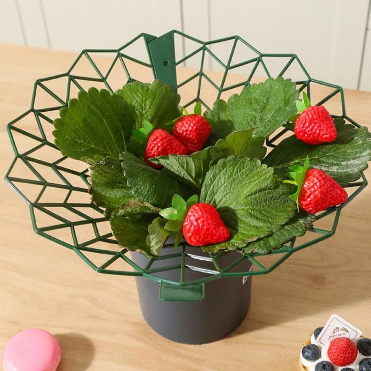 TBD06056983_B1.webp Strawberry Cultivation Anti-Rotting Planting Stand Plant Climbing Rack - Image 2
