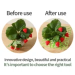 Strawberry Cultivation Anti-Rotting Planting Stand Plant Climbing Rack - Image 4