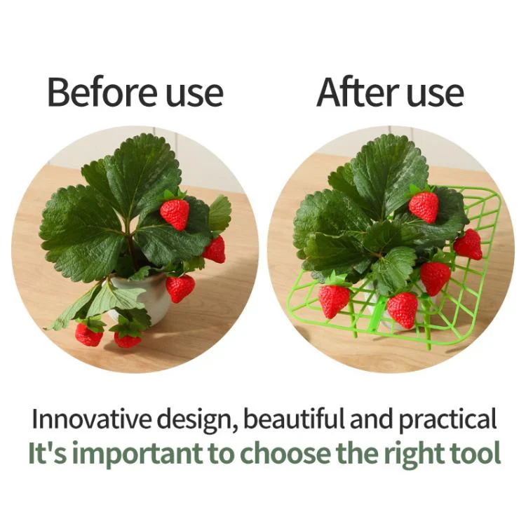 TBD06056983_B3.webp Strawberry Cultivation Anti-Rotting Planting Stand Plant Climbing Rack - Image 4