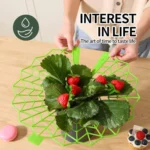 Strawberry Cultivation Anti-Rotting Planting Stand Plant Climbing Rack - Image 5