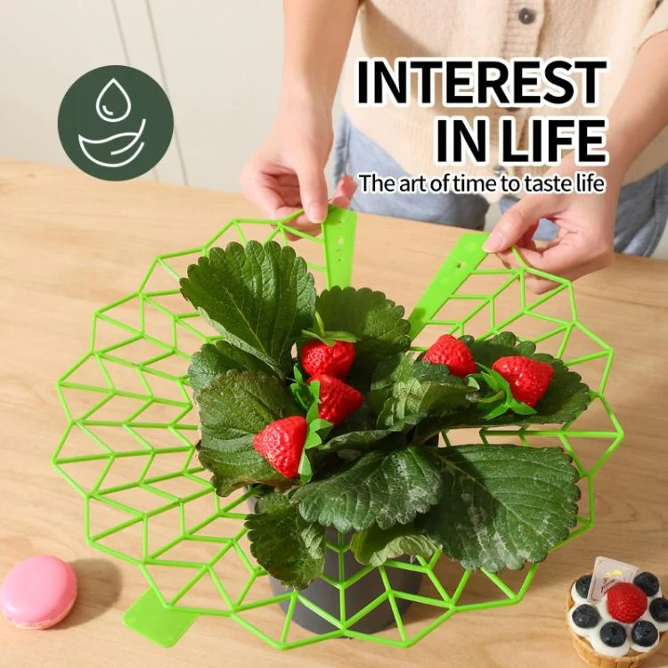 TBD06056983_B4.webp Strawberry Cultivation Anti-Rotting Planting Stand Plant Climbing Rack - Image 5