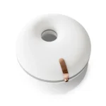 Portable Invisible Braces Box Denture Orthodontic Storage Case with Tooth Hook Set