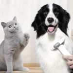 3-in-1 Pet Grooming Comb Sticky Roller for Cats and Dogs, Removes Loose Hair, Detangles - Image 4