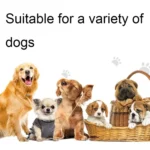 T720 1000m Pet Intelligent Electric Shock Remote Control Dog Training Device - Image 5