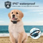 Anti-Barking Dog Collar Pet Remote Control Training Barking Control Device - Image 7