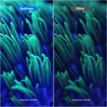 Sea Frogs MK-02 100m Depth Waterproof Diving Flashlight 6000LM Strong Light 6 Light Modes - Image 10