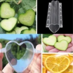 Heart-shaped Fruit Shaped Growth Plastic Mold - Image 5