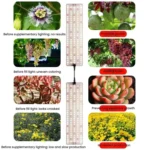 Cold Light LED Parallel Quantum Board Indoor Plant Growth Lamp - Image 8