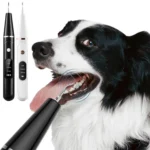 Pet Ultrasonic Teeth Cleaner Dog Tooth Brushing Kit Plaque Tartar Remover Dental Care Tool - Image 2