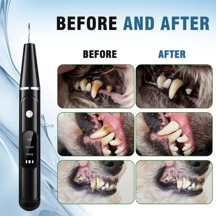 TBD06059870_B4.webp Pet Ultrasonic Teeth Cleaner Dog Tooth Brushing Kit Plaque Tartar Remover Dental Care Tool - Image 5