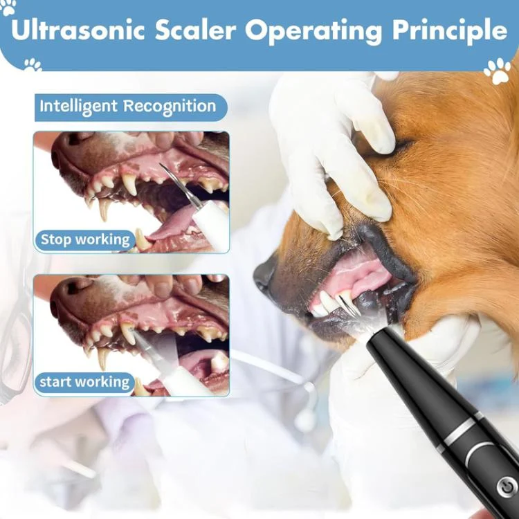 TBD06059870_B5.webp Pet Ultrasonic Teeth Cleaner Dog Tooth Brushing Kit Plaque Tartar Remover Dental Care Tool - Image 6
