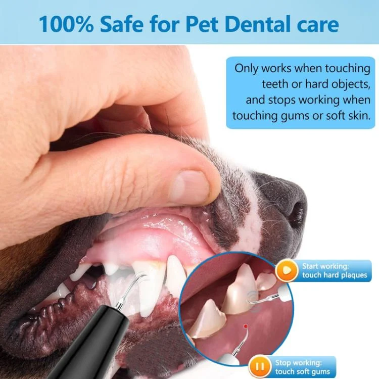 TBD06059870_B6.webp Pet Ultrasonic Teeth Cleaner Dog Tooth Brushing Kit Plaque Tartar Remover Dental Care Tool - Image 7
