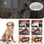 Pet Ultrasonic Teeth Cleaner Dog Tooth Brushing Kit Plaque Tartar Remover Dental Care Tool - Image 9
