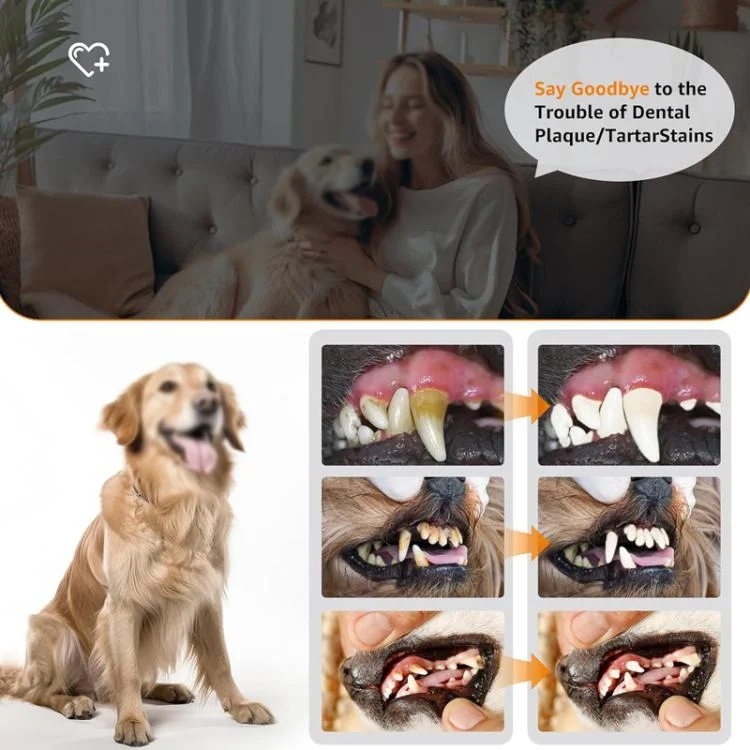 TBD06059870_B8.webp Pet Ultrasonic Teeth Cleaner Dog Tooth Brushing Kit Plaque Tartar Remover Dental Care Tool - Image 9